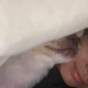 Meet your Posher, Amy